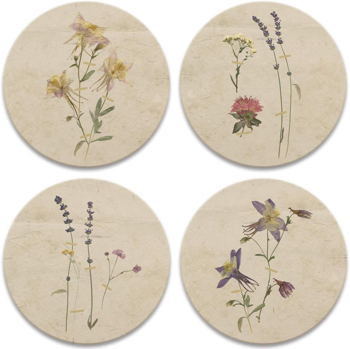 4 Pack Pressed Flowers Drink Coasters